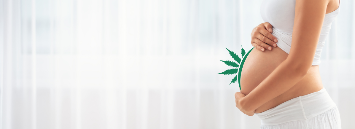 Mohou konopné semínko konzumovat děti a těhotné ženy?